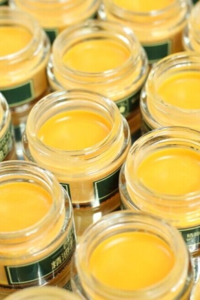 carnauba wax