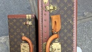 Louis Vuitton men's bags