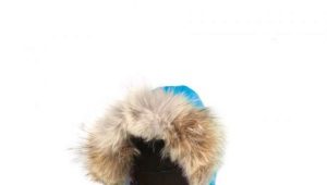 Canada Goose 的羽绒服 - 非常保暖的衣服