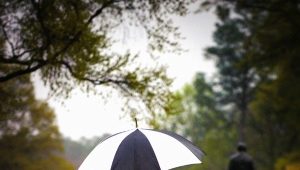 时尚雨伞