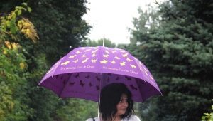 莫斯奇诺雨伞