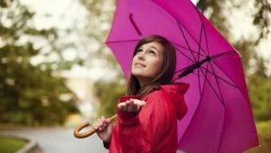 雨伞三头大象