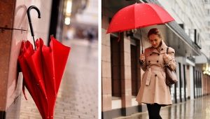 全家人的热情雨伞
