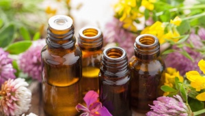 Essential oils for stretch marks