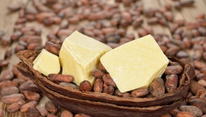 Cocoa butter: properties and applications in cosmetology