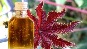 Uses of castor oil for hair
