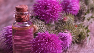 Burdock oil for eyelashes