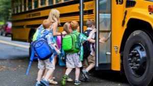 Rules of conduct in public transport for schoolchildren