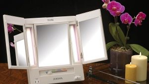 表镜：类型和基本特征 