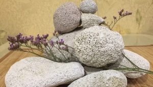 浮石：它是什么，在哪里使用？