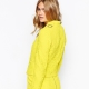 yellow jacket