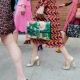 Bags from Gucci 2022