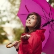 雨伞三头大象