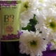 Vivienne Sabo BB Cream 