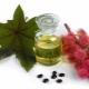 castor oil for skin