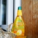 Garnier hair oil