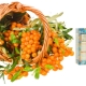 Oblepikha hair oil from Natura Siberica