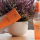 Schwarzkopf hair oil
