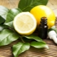 A clarifying hair oil