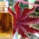 Uses of castor oil for hair