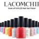 凝胶波兰 Lacomchir 