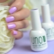 凝胶波兰 Uno 