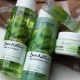 Cream with aloe vera