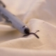 How to wash felt-tip pen from clothes?