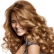 Apricot hair oil